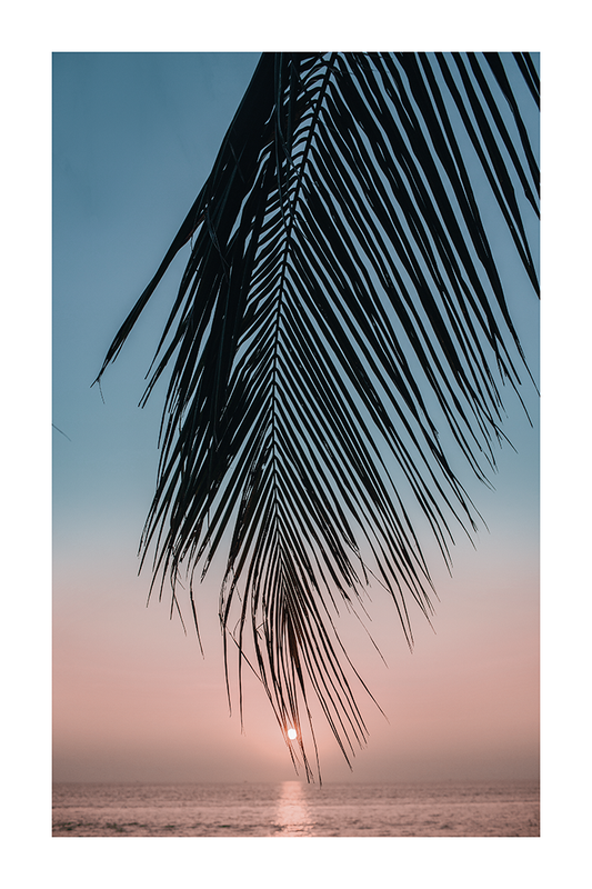 Sunset Tropical Palm Poster