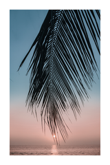 Sunset Tropical Palm Poster