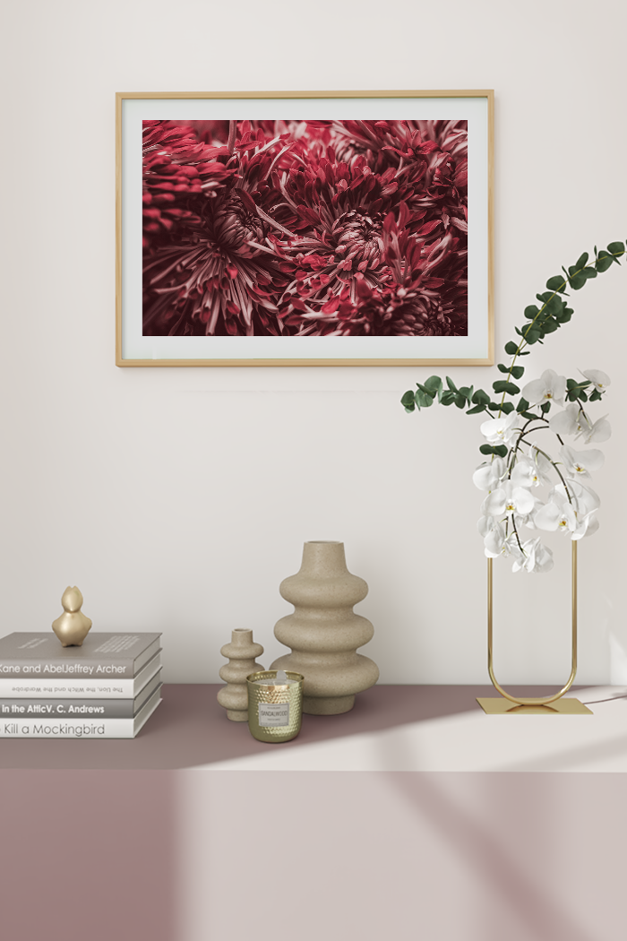 Red Dahlia Poster