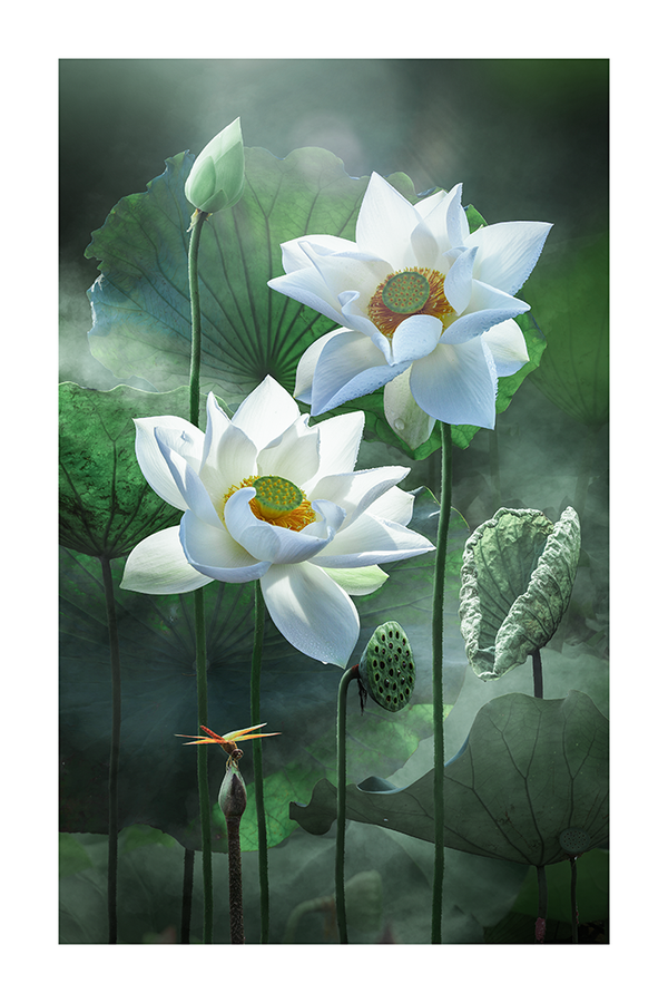 White Lotus Poster