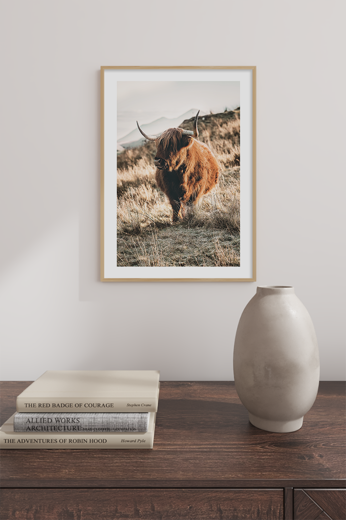 Wild Highland Cow Poster