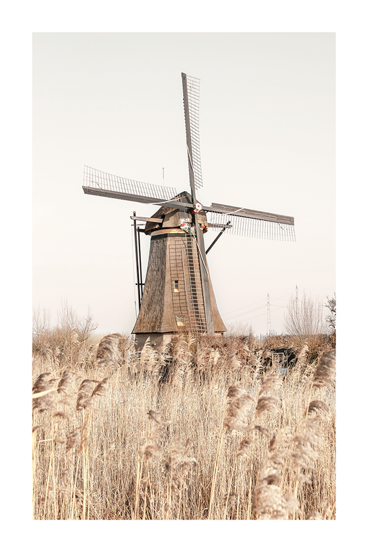 Wild Windmill Poster