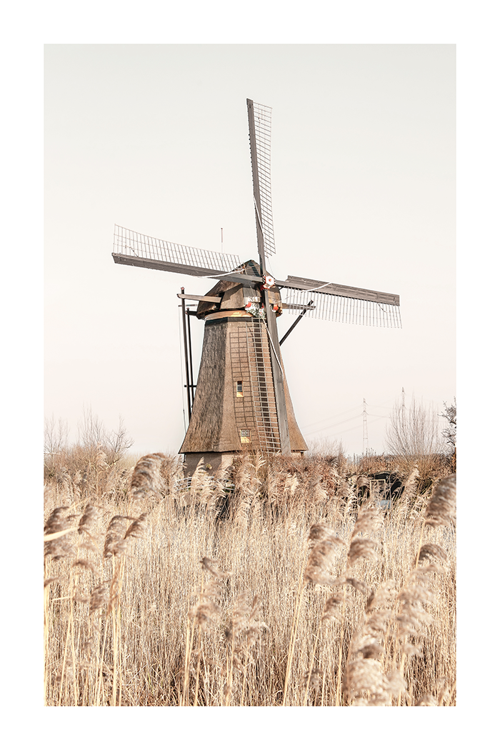 Wild Windmill Poster