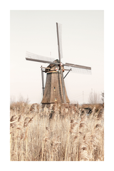 Wild Windmill Poster