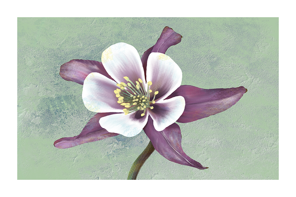 Lily Oil Painting Print