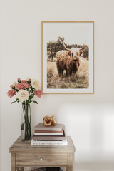 Wild Highland Cow Poster No.3