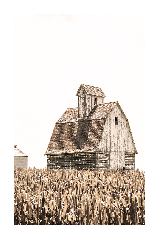 Field Cottage Poster