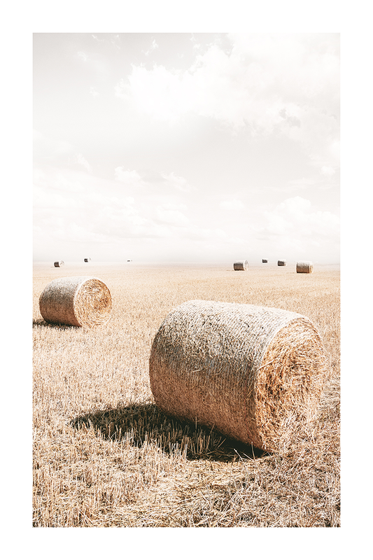 Harvest Poster