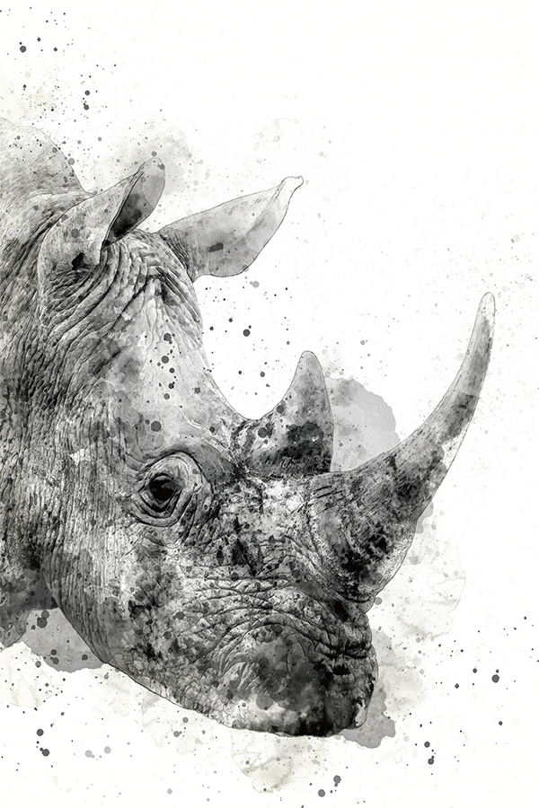 Abstract Rhino Ink Print