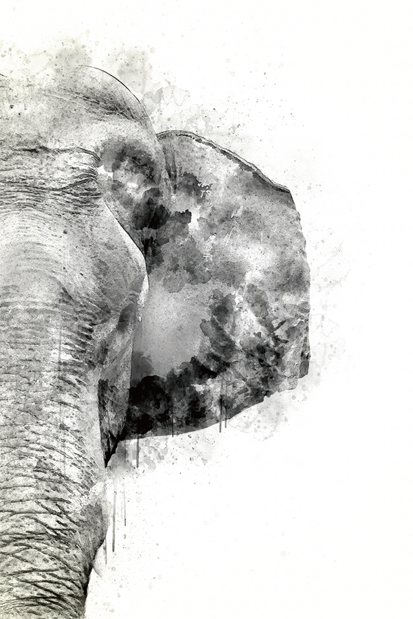 Abstract Elephant Ink Print