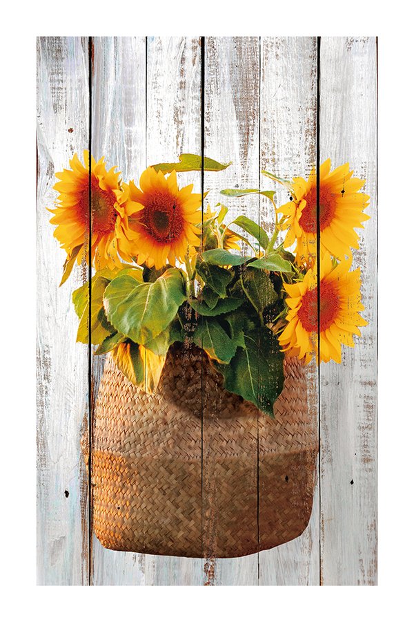 Vintage Sunflower Poster