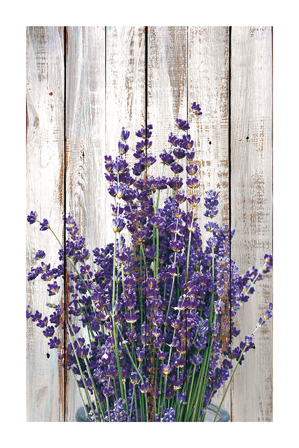 Vintage Lavender Poster