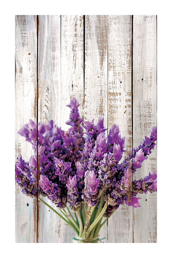 Vintage Lavender Poster No.3