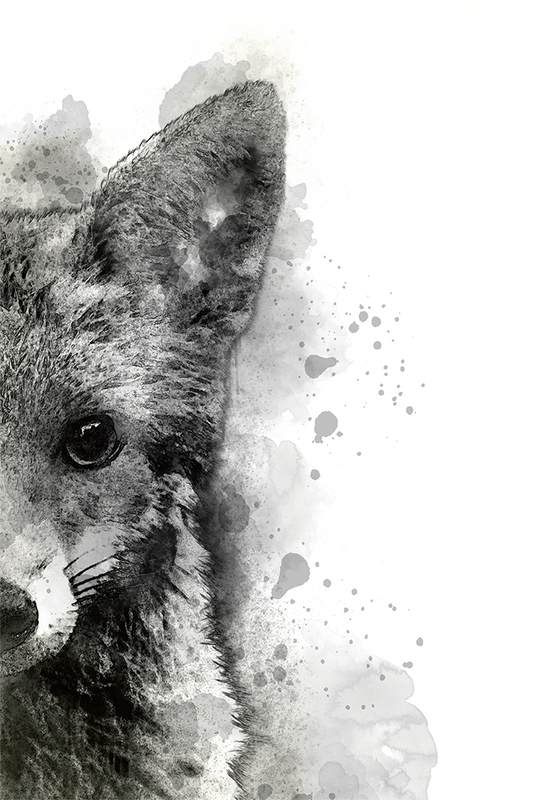 Civet Cat Ink Art Print