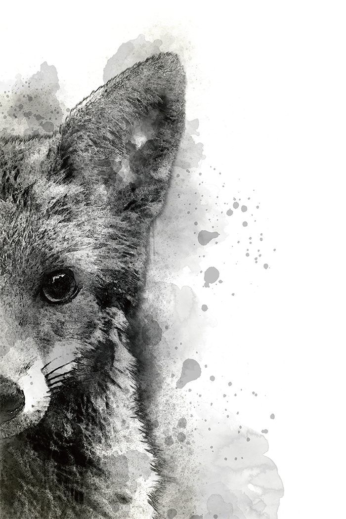 Civet Cat Ink Art Print