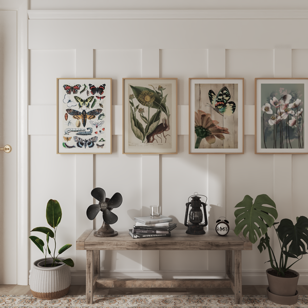 Farmhouse Entryway Photo White Wall Decor Butterfly Picture Vintage Botanical Print