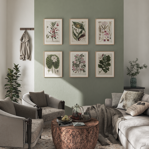 Green Wall Art Picture Decor Farmhouse Living Room Makeover Vintage Botanical Print