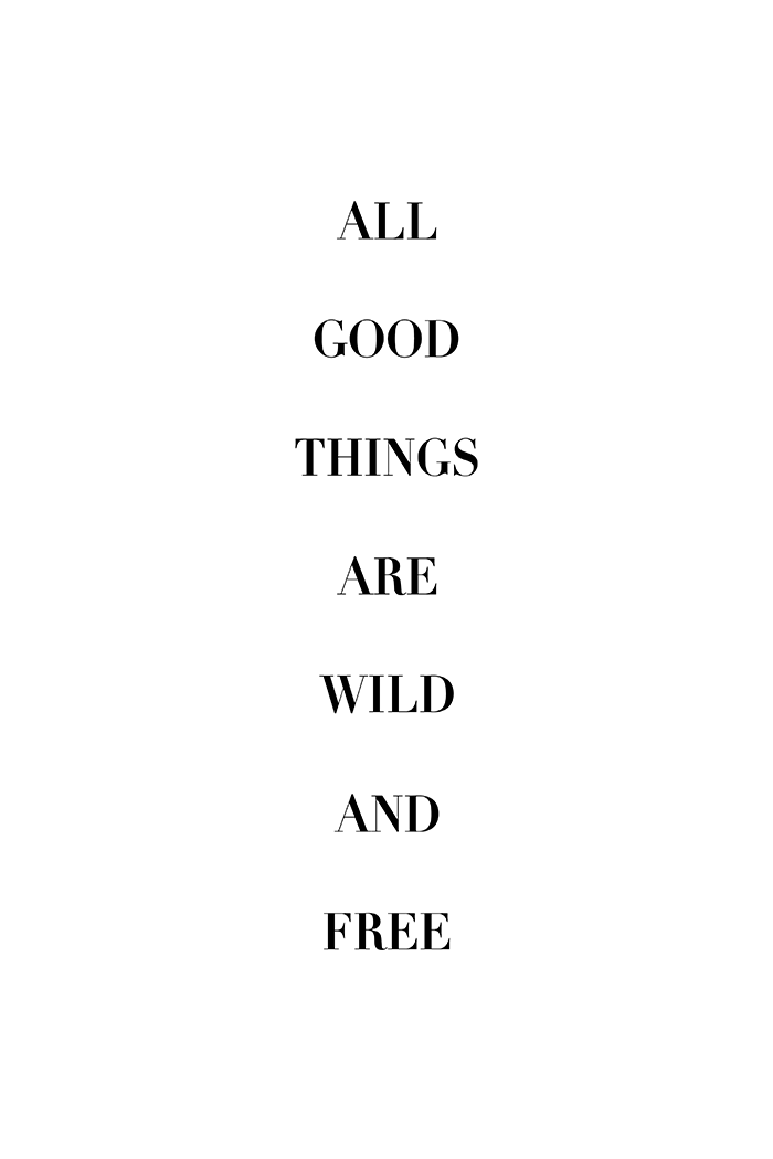 Wild and Free Poster